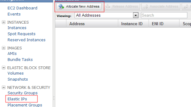 Elastic IPs