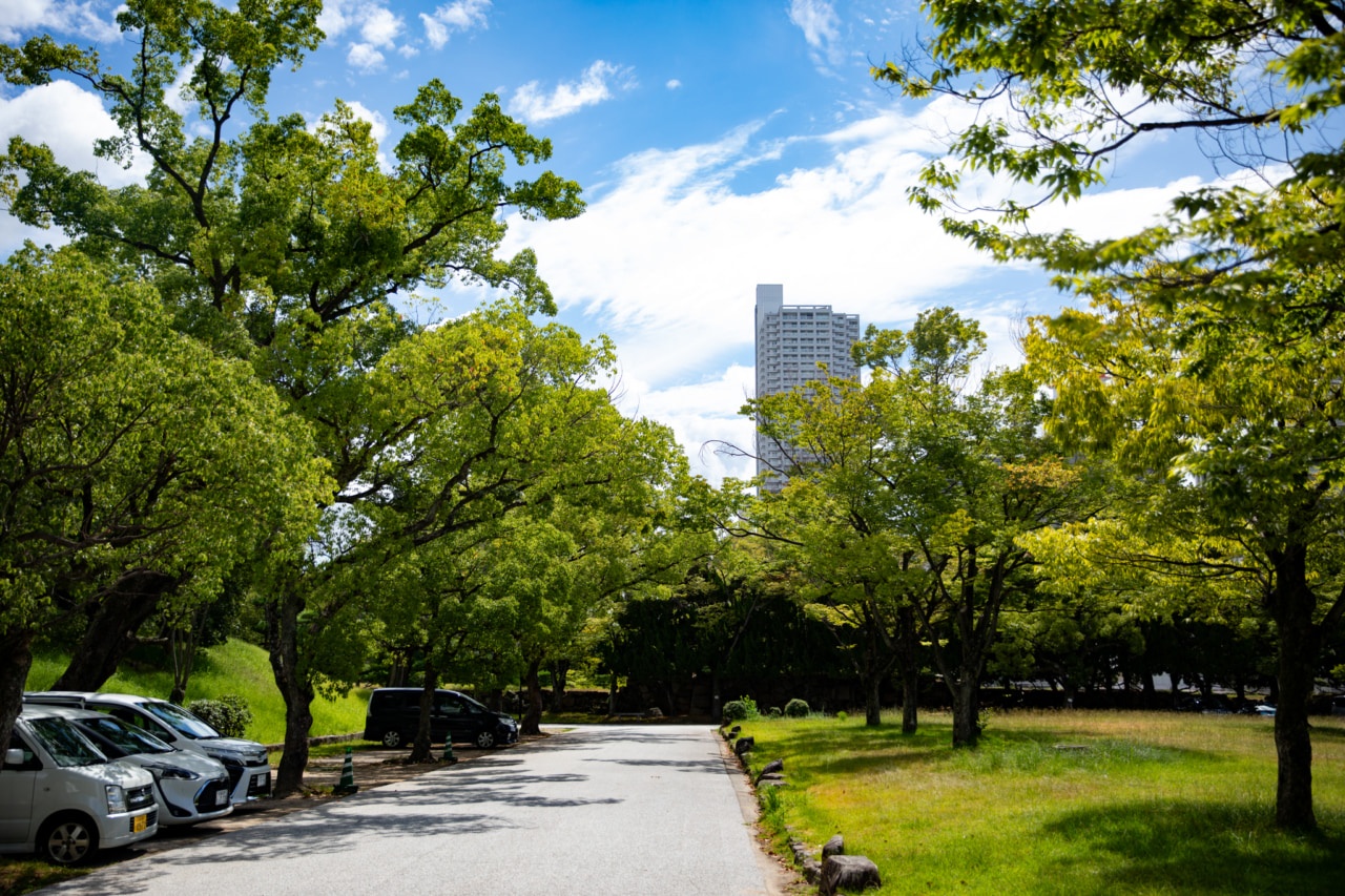 広島城公園から見えるビルの写真