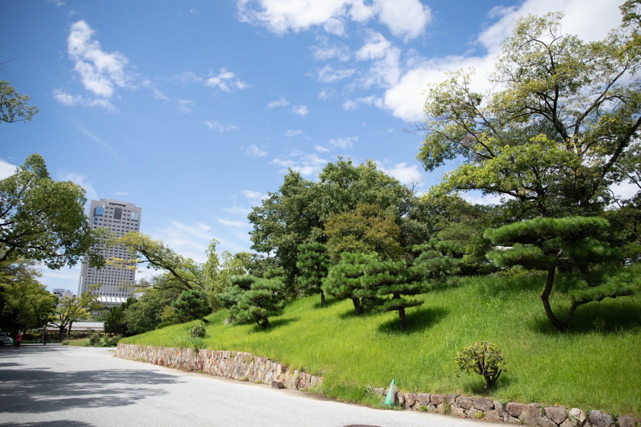 広島城公園から見えるビルの写真